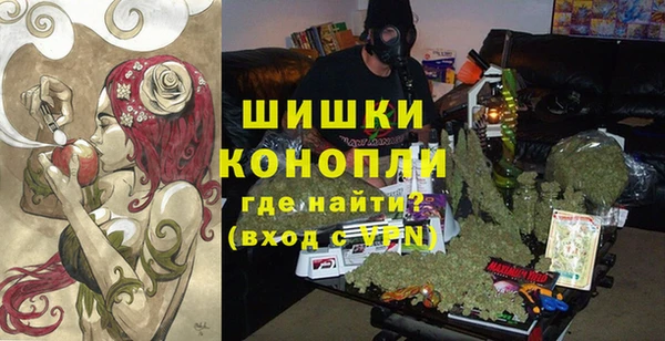 каннабис Корсаков